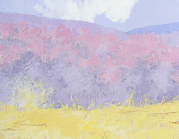 Edge of Nancy's Field - Spring